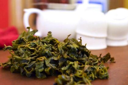 high mountain oolong tea