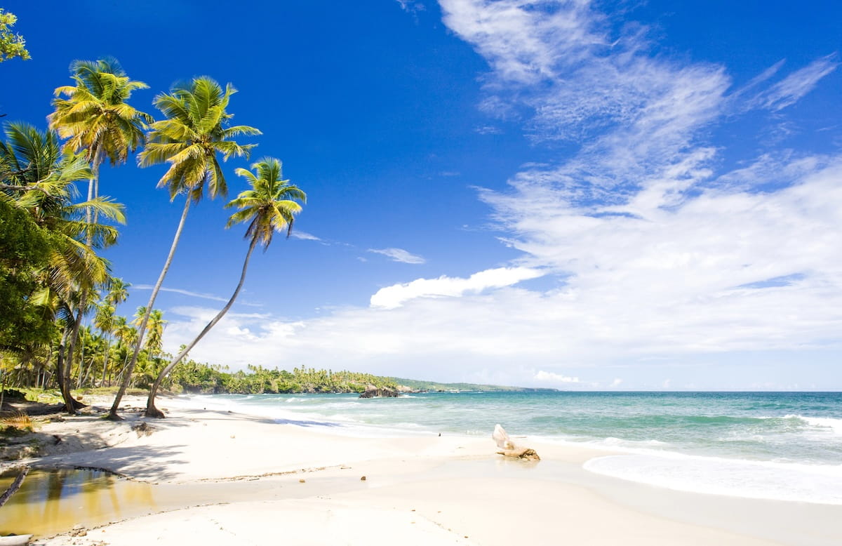 A scenic view of Cumana Bay in Trinidad, featuring a pristine white sand beach lined with tall, leaning coconut palms. The bright blue sky and turquoise ocean waves provide a classic Caribbean setting, perfect for a relaxing beach lime.