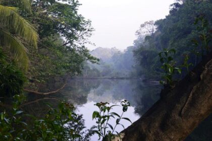 Kaliyar River