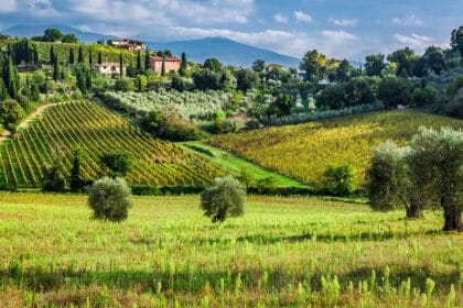 Green Tuscan countryside with rolling hills covered in vineyards, olive trees, and tall cypress trees. A small village with rustic stone buildings sits on a hill in the background, with distant mountains under a partly cloudy sky.