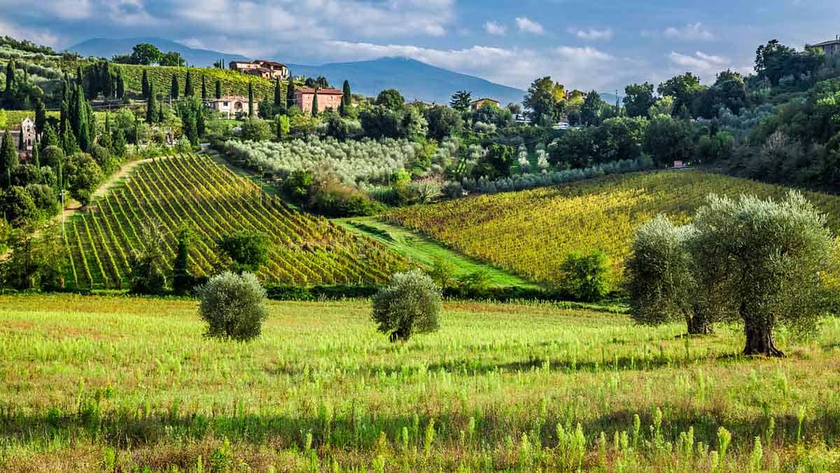 Green Tuscan countryside with rolling hills covered in vineyards, olive trees, and tall cypress trees. A small village with rustic stone buildings sits on a hill in the background, with distant mountains under a partly cloudy sky.