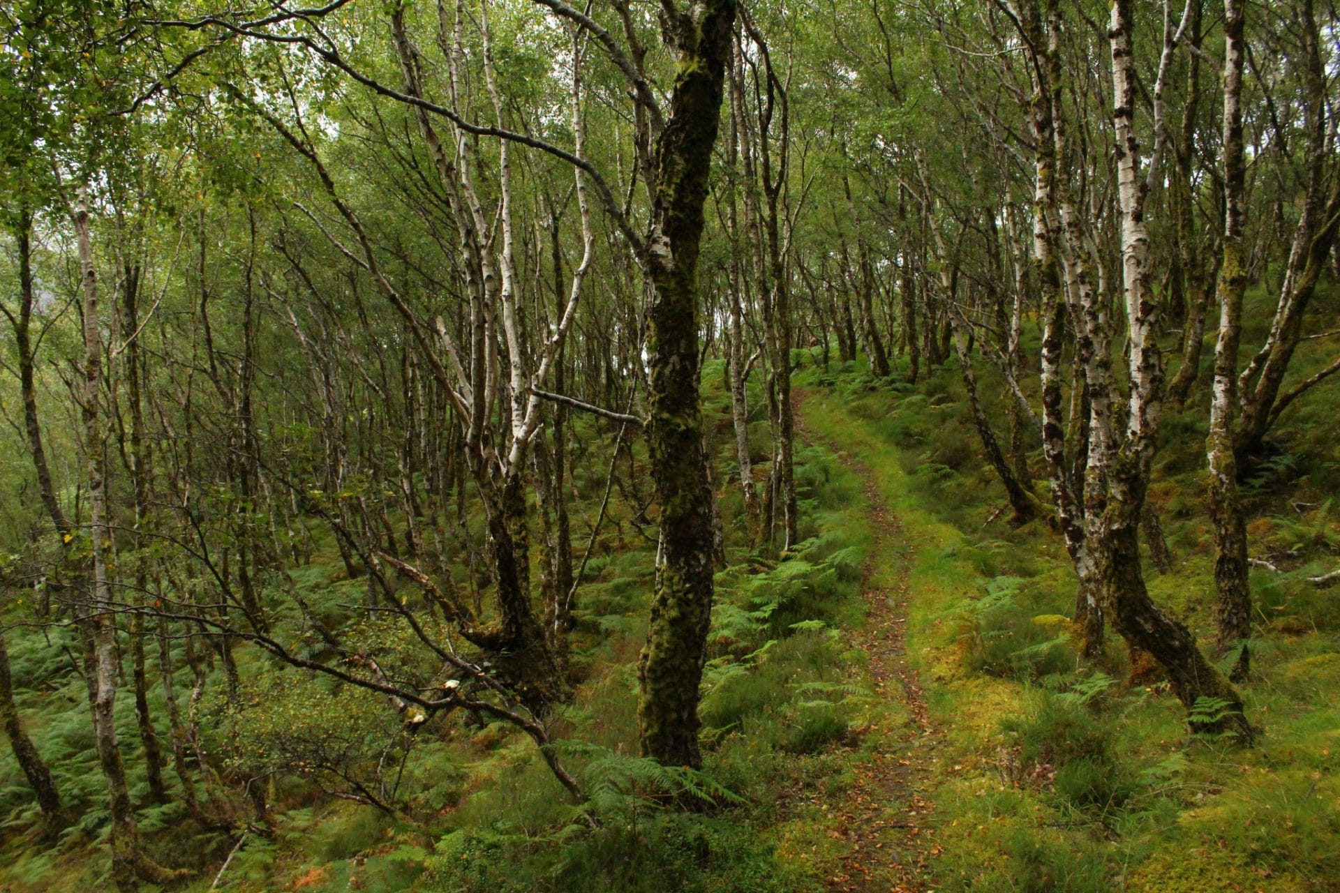 scotland hiking trails 
