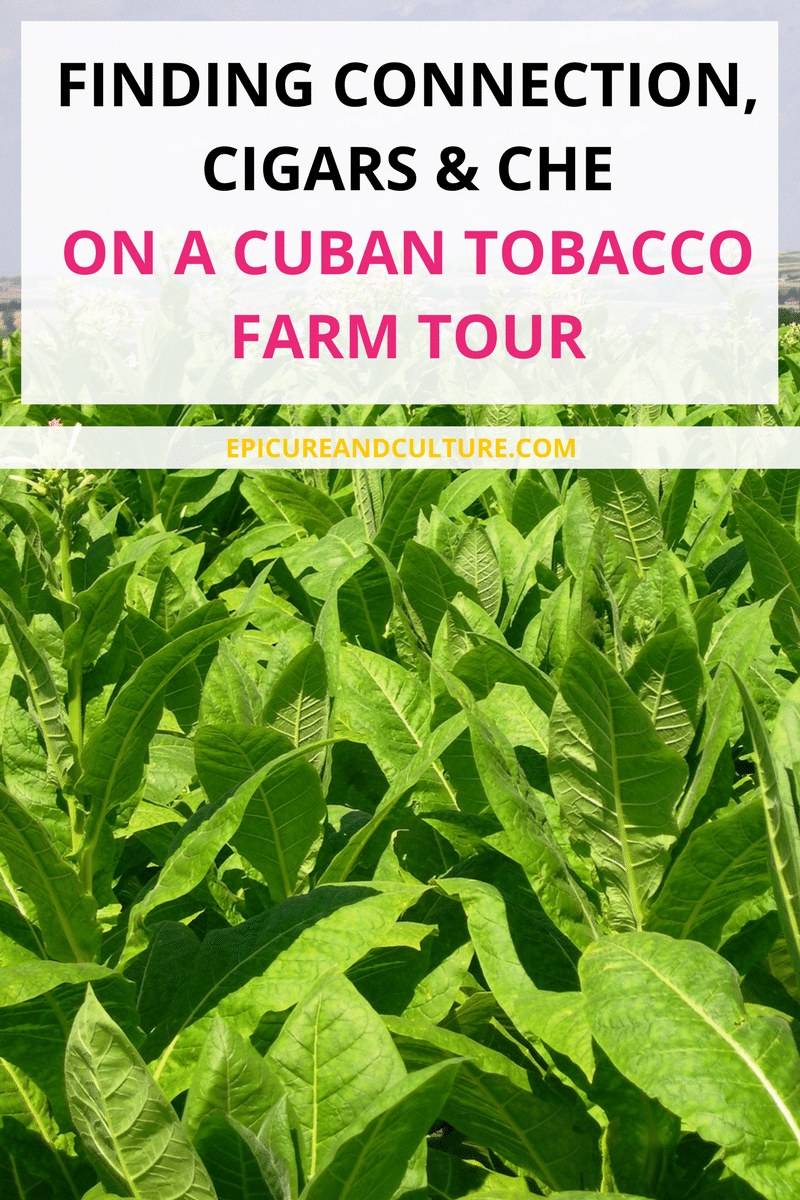 Vinales Tours | Things to do in Cuba
