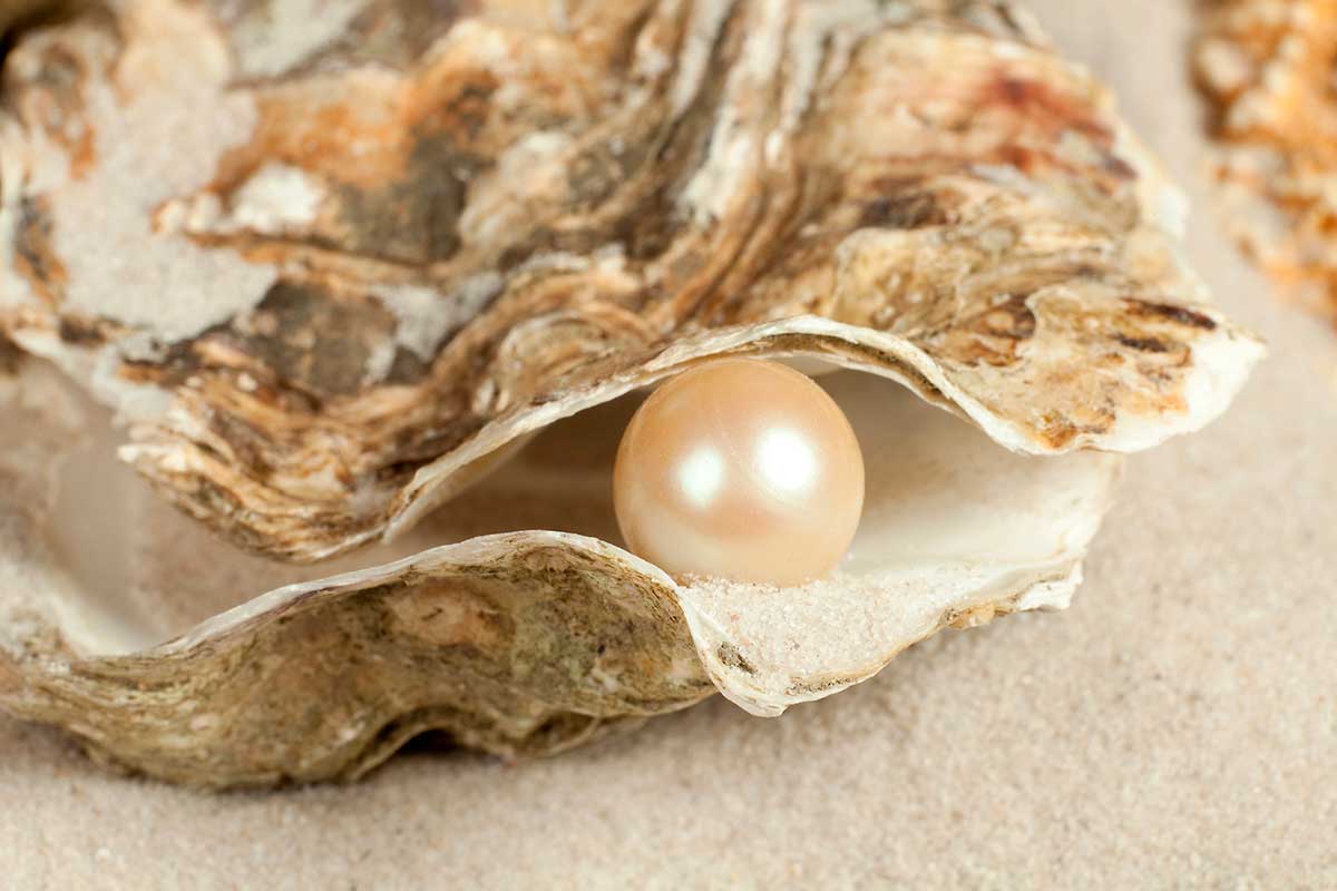 Arabian pearl.