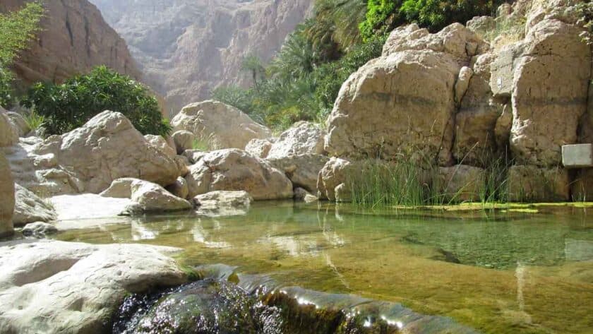 Scenic view of Wadi Shab in Oman, showing clear turquoise water flowing gently between large rocky cliffs. Green vegetation and palm trees grow along the edges of the stream, surrounded by rugged desert mountains under bright sunlight.