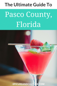 Here's why Pasco County, Florida should be on your Florida travel ideas list. One, it's home to a number of active Florida adventures and outdoor experiences, like beautiful biking trails, scenic hiking trails, ziplining, fruit picking, wine tasting, hot air ballooning and more. Two, the Florida restaurants and bars here are fantastic! Make Pasco your next Florida vacation pick! #FloridaTravelGuide #FloridaGuide #AdventureTravel #USATravel #TravelGuides