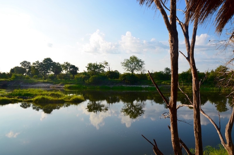 Zambezi River views from Sindabezi's tents