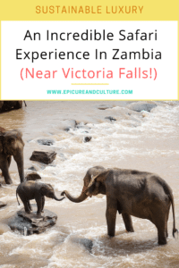 zambezi river safari in zambia