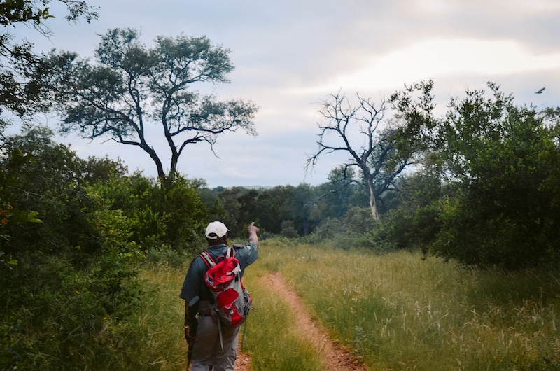 Garonga tracker Jeff guiding a bush walk in Makalali in south africa