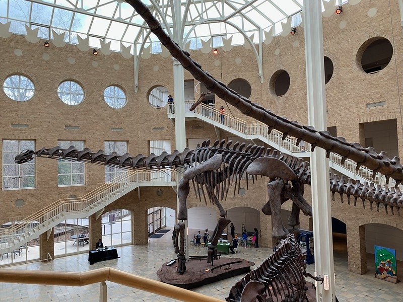 sustainable tourism at Fernbank Museum of Natural History