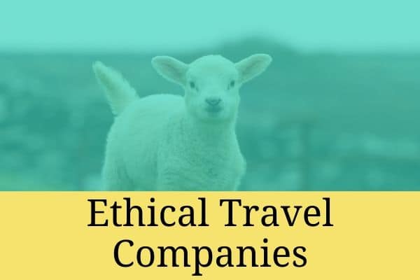 ethical travel companies