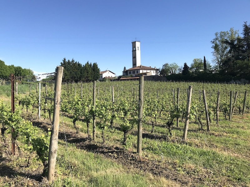 Madonna dei Monti in Milan's Lombardy wine region in Italy