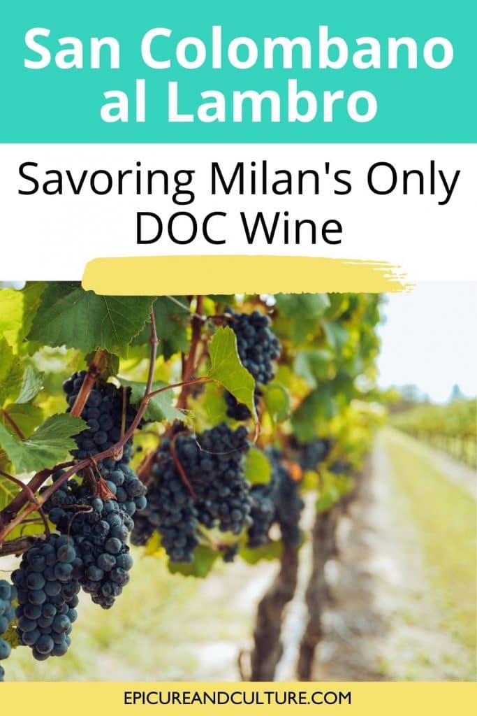 wine in Milan, Italy - Lombardy wine region