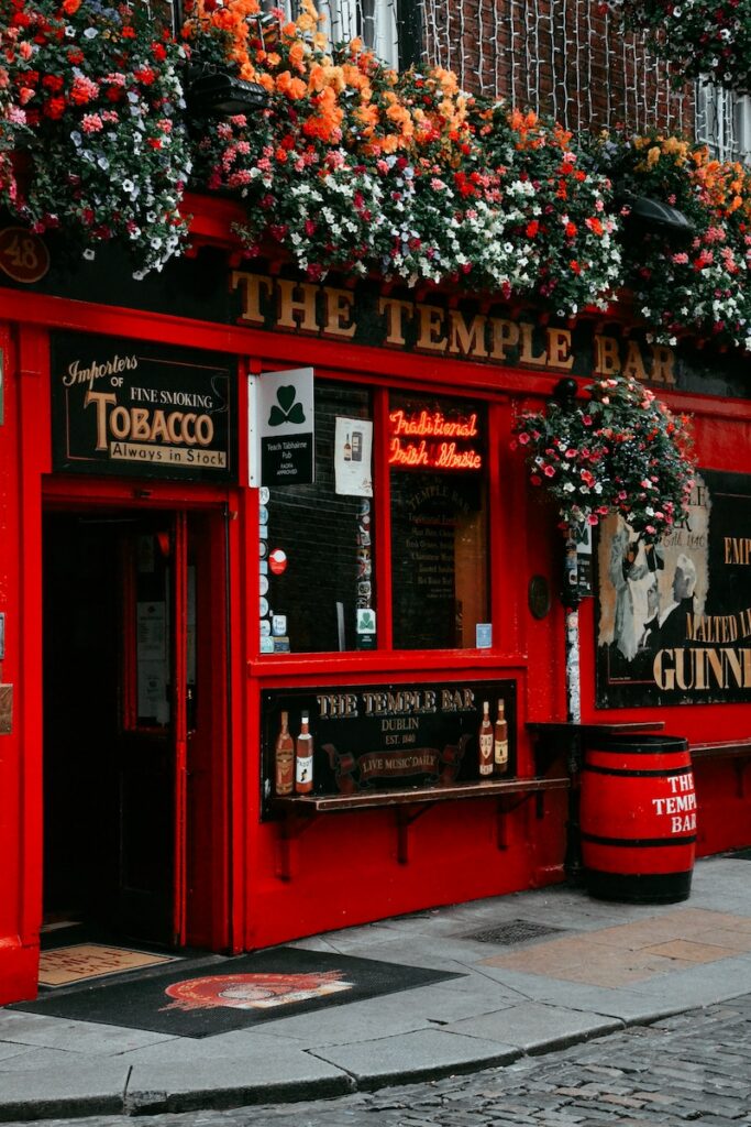 Temple Bar Pub serving beer and street food in Dublin