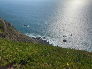 Sunlit Atlantic Ocean from Portuguese coastal cliff. Silver light reflects on water surface around dark rocky outcrops.