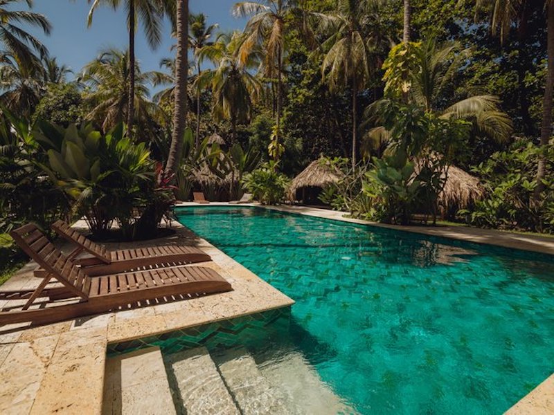pool surrounded by palm trees in Colombia