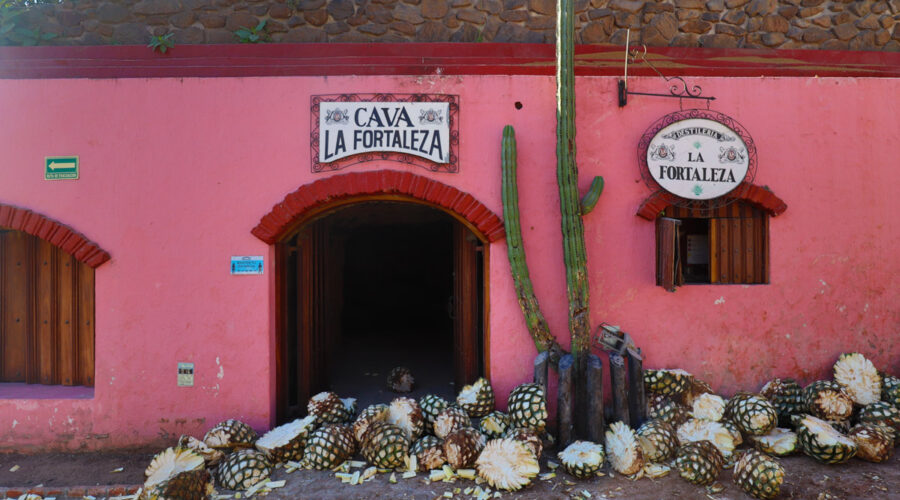 Los Abuelos is one of best tequila distilleries in Mexico