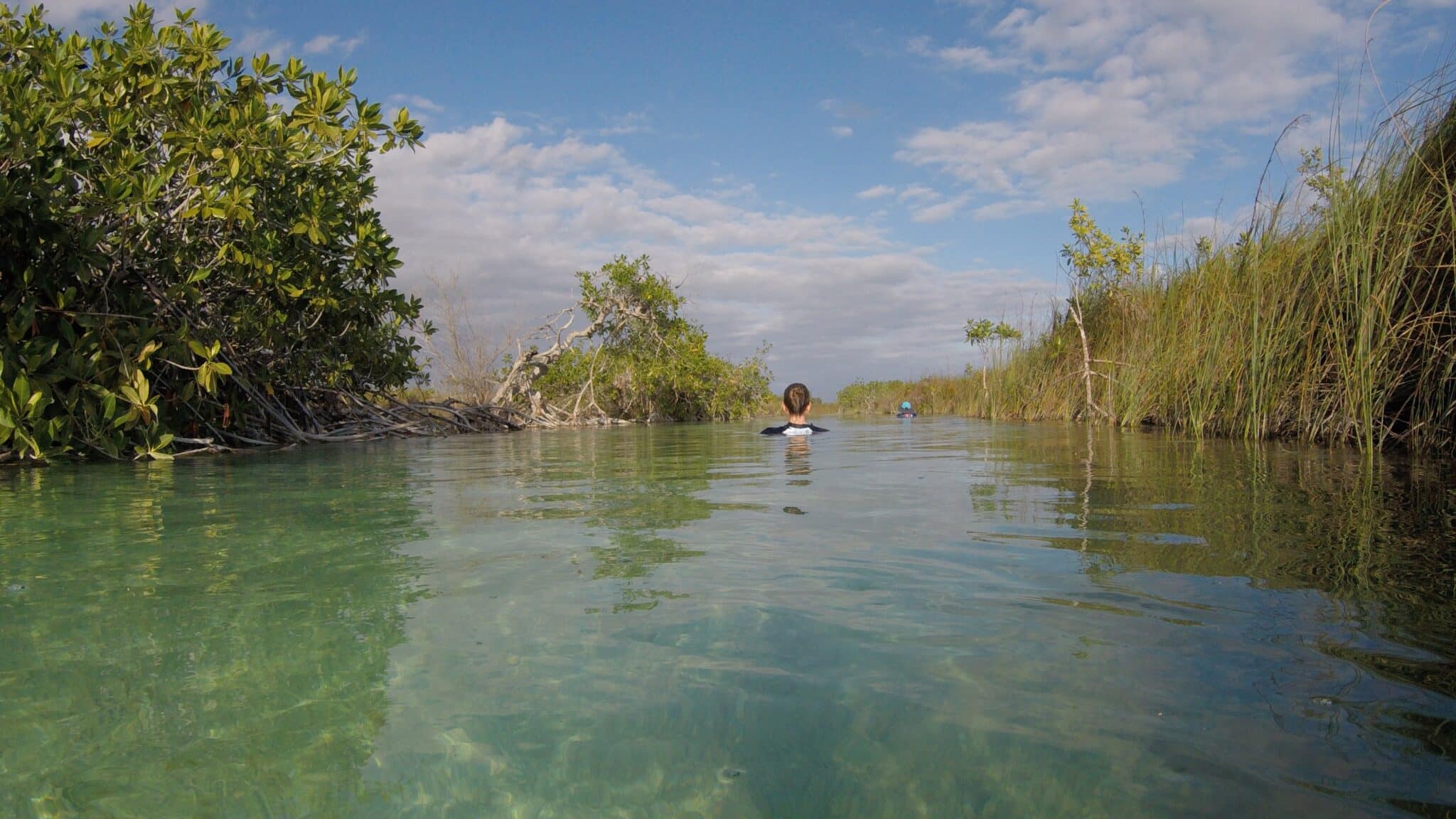 Person floating through clear turquoise water surrounded by mangroves and tall grasses in the Sian Ka’an Biosphere Reserve, Mexico, under a partly cloudy sky.